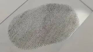 How to dust and lift a fingerprint