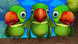 Parrots eating apple & watermelon🍉 #viral #trending #birds #parrot #video #shortsfeed #shorts #pet