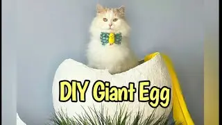 How to Create a Giant Egg Photo Prop