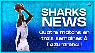 SHARKS NEWS - 4 MATCHS EN 3 SEMAINES A L'AZURARENA !