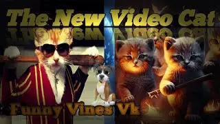 cute cat training videos new cat videos #funnyvinesvk #WhatsApp #cute cat