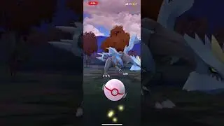 White Kyurem Fusion 