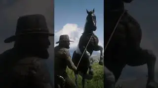 RDR2 American Paint Horse Tame #rdr2 @Falcon114