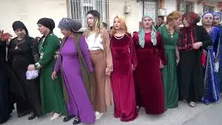 Kahraman'ın Oğlunun Kınası  AZİZ~AYŞENUR KINA