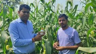 Agriwalk कंपनी के पंचशूटर के रिजल्ट की कहानी किसान की जुबानी