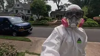 Water Damage Restoration and Mold Remediation Alexandria, Fairfax, Springfield, Arlington, Reston..