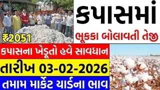 Kapas na bhav | 03-02-2026 | કપાસના ભાવ:2025 | Information about Cotton Crop Price | Commodity trend