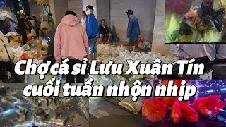 Không Khí Chợ Cá Sỉ Lưu Xuân Tín Cuối Tuần | Sài Gòn Xưa-Old Sai Gon#chocaluuxuantin #luuxuantin
