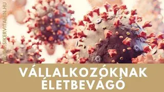🥇 Napivitamin EXTRA: A v&aacute;ls&aacute;g sz&aacute;mtana, amivel sz&aacute;molnod kell neked is!