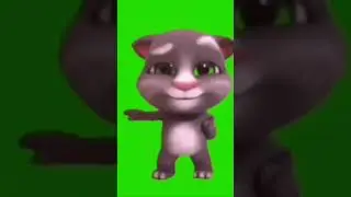 MiMiMaMaMu TomFlex #fyp #meme #cat #trend