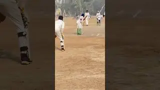 Good Catch by KEEPER #cricket #hardball #hardballmatch #fastbowling #wicketkeeping