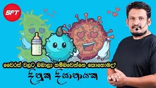 Virus#Reproduction#viralvideo#SFT#TheBest#Class#DinukaDissanayake