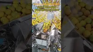 Small kumquat packaging machine,automatic VFFS packing machine #machine#fruit