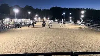 Silvermere Pony Club Virtual Musical Drill Ride 2025 - Star Wars 