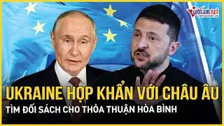 Đàm phán hòa bình đến hồi kết, ông Zelensky họp khẩn với đồng minh Châu Âu tìm đối sách