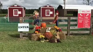 Jacksonville Corn Maze | Amazing Grace Crop Maze