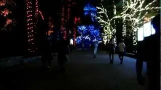 Snoopy Starlight Spectacular at Kings Dominion