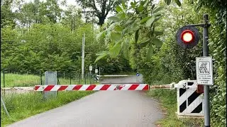 Passaggio a livello // Level crossing // (Vergiate)