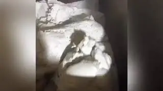 Satılık Bamburi Makinası