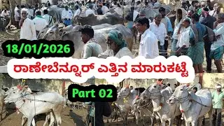 ರಾಣೇಬೆನ್ನೂರ್ ಎತ್ತಿನ ಪ್ಯಾಟಿ || Ranebennuru Bulls Market || ಪ್ರತಿ ಭಾನುವಾರ ಬೆಳಿಗ್ಗೆ #cattlemarket 