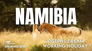 Natural Horsemanship in Namibia