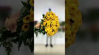 Which Flower Am I?  Guess the Name!