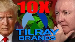 🚨 Trump&rsquo;s Executive Order Could 10X Tilray & Cannabis Stocks on Monday! Martyn Lucas Investor