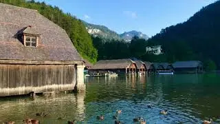 Verdi - 
