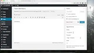ModernThemes Team Members Plugin