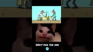 Polite Cat meme |#Polite Cat reacts🥶🔥| #Meme #Short Comedy #Trending