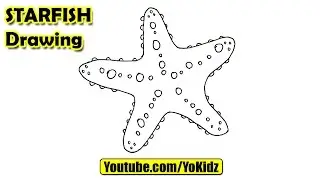 How to draw a Starfish for Kids
