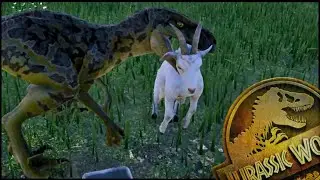Another Raptor Enters The Park! | Jurassic World Evolution 2