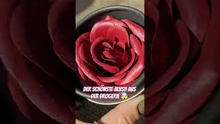 BEAUTIFUL 😍 Moonshadow Blush von RIVAL LOVES ME #drogerie #limitededition #blush
