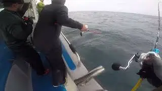 selatan padu+hujan marwan strike sotong siap kne tembak 🤣🤣🤣