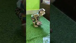 Lolo Nastty Bubu When Mom Prepare Snack