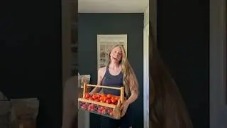 Canning Crushed Tomatoes #backyardgardening #backyardhomestead #canning