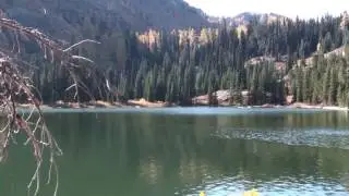 Lake Caroline