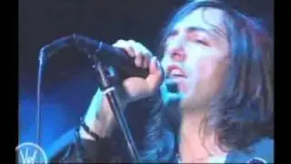 Presentación - Babasónicos en el  Vive Latino 2005 - 