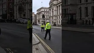 Met Police ensure the safety of the horses #horseguardsparade #horse #britisharmy #shorts