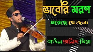 ভাবেরি মরণ মরেছে যে জন|babari moron moracha je jon| বাউল অলিদ মিয়া|