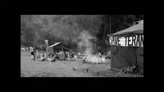 Terania Rainforest Logging Protest Story - Schools Movie