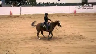 NERHA Spring Spin 2016 - Ranch Horse Pleasure (FRI) 174 Susan Feldman on Chex My Backcinch