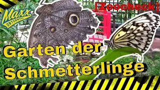 [ZooCheck] Garten der Schmetterlinge | Schloss Sayn