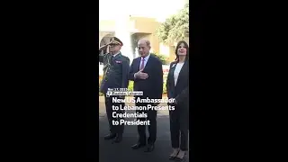 New US Ambassador to Lebanon Presents Credentials to President