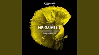 Mr Gaines 5