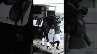 Duniya Ka Sabse Lamba Ghoda 😲 | Shire Horse | Elephant + Giraffe Combo? #shorts #animals