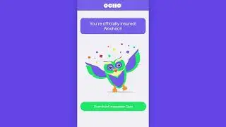 How Does OCHO Work? - Explainer Video (G)