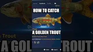 Как поймать бриллиантовую золотую форель! #игры #рыбалка #callofthewildgameplay #cotw