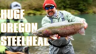 Plugging & Bobber Fishing for GIANT Steelhead in Oregon