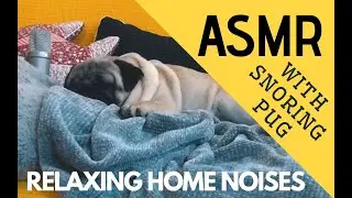ASMR with snoring pug - HOME NOISES / FIREPLACE / NO MUSIC / NO TALKING